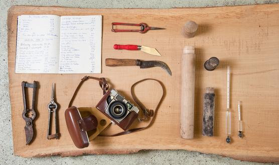 Winery Lukas Markowitsch - Göttlesbrunn, Austria